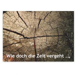 Recallkarten, Motiv Jahresringe 