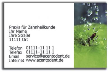 Praxisvisitenkarten, Motiv Frische 
