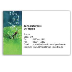 Kalender mit Visitenkarte, Motiv Frische 