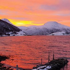 Deckenbild "Kattfjord" 