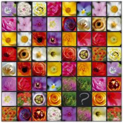 Deckenbild Memor(ie) 