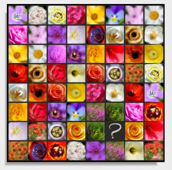 Rätselbild "Memor(ie)" 